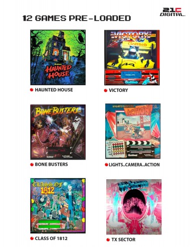 Haunted House Pinball 12w1