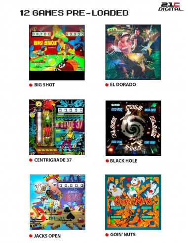 Haunted House Pinball 12w1